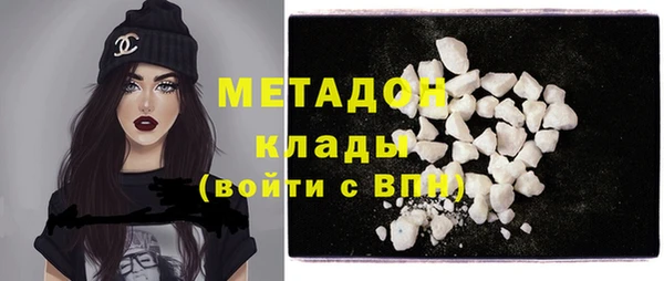 шишки Заволжье