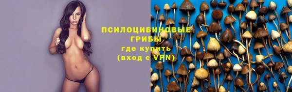 таблы Заводоуковск