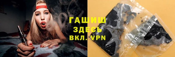 шишки Заволжье