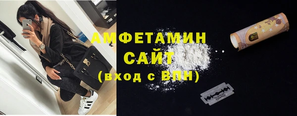 шишки Заволжье