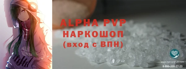 шишки Заволжье