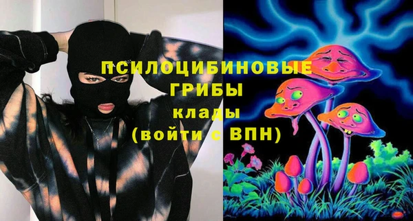 шишки Заволжье