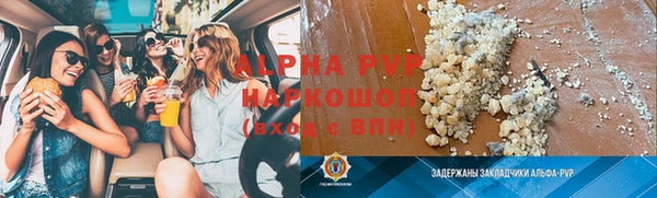 шишки Заволжье