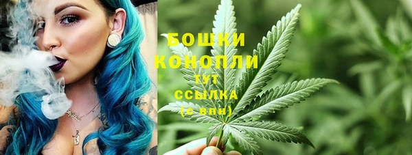 бошки Тында