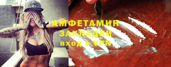 шишки Заволжье