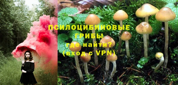 таблы Заводоуковск